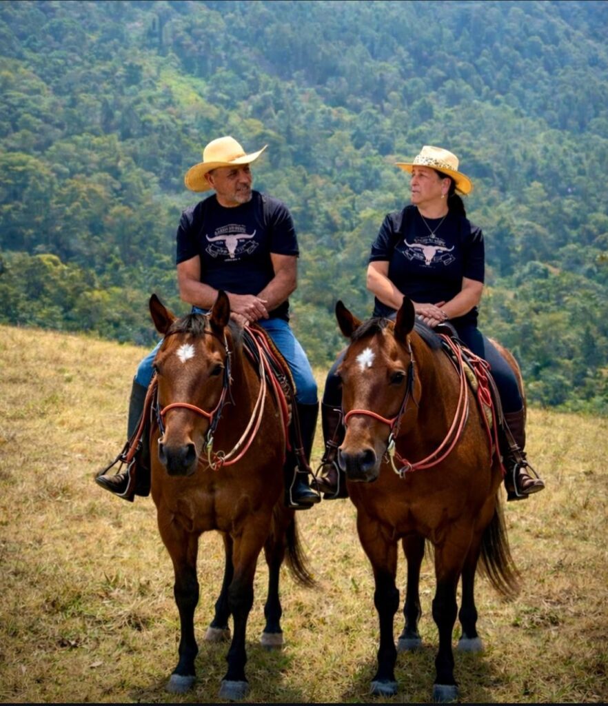 Passeio a Cavalo Pelas Montanhas, Campos do Jordão, 1 Hora