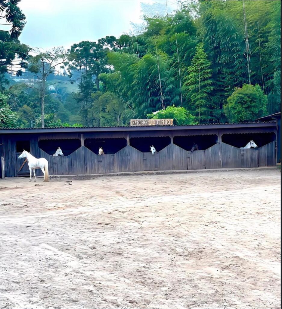 Passeio a Cavalo Pelas Montanhas, Campos do Jordão, 1 Hora