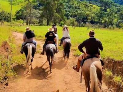 Passeio a Cavalo Pelas Montanhas, Campos do Jordão, 3 Horas