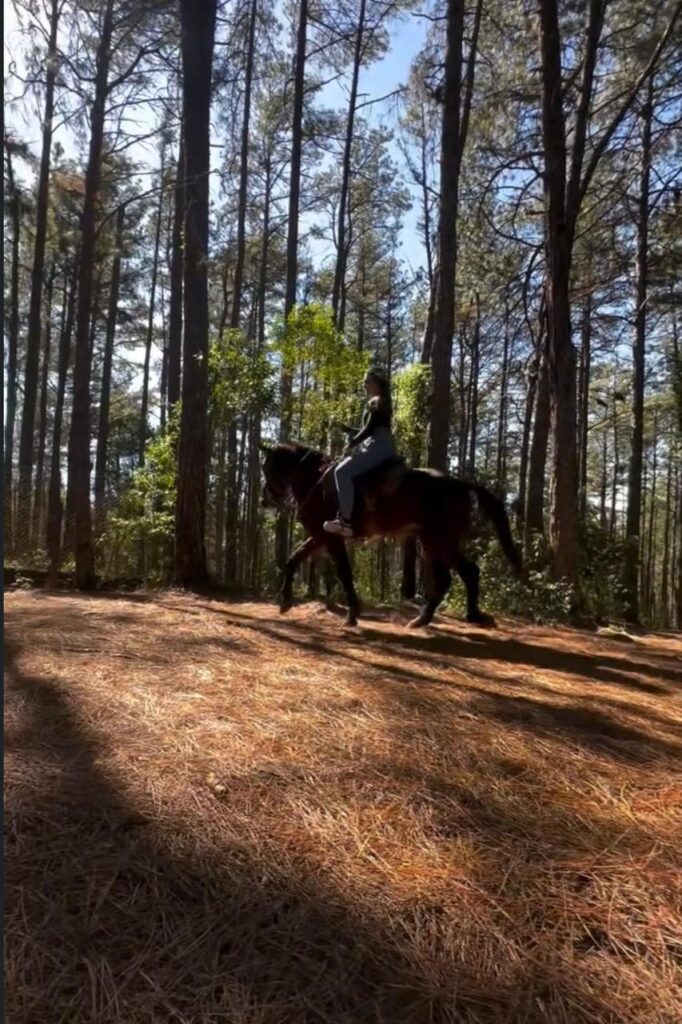 Passeio a Cavalo Pelas Montanhas, Campos do Jordão, 1 Hora