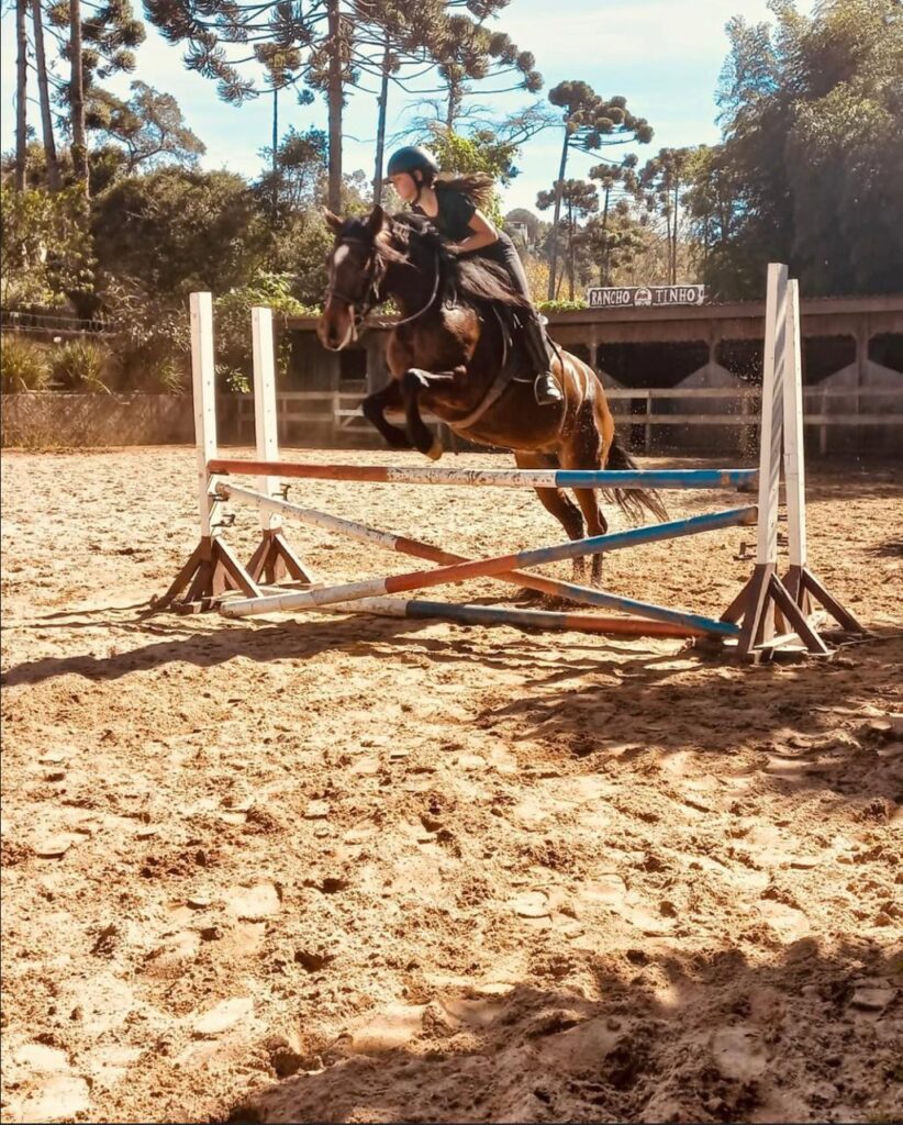 Passeio a Cavalo Pelas Montanhas, Campos do Jordão, 3 Horas