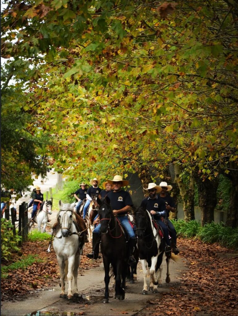 Passeio a Cavalo Pelas Montanhas, Campos do Jordão, 3 Horas