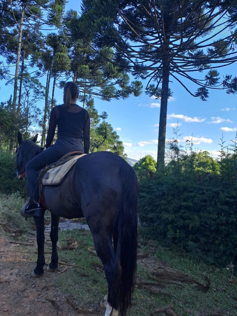 Passeio a Cavalo, Fazenda Off Road, Monte Verde, 30 Minutos