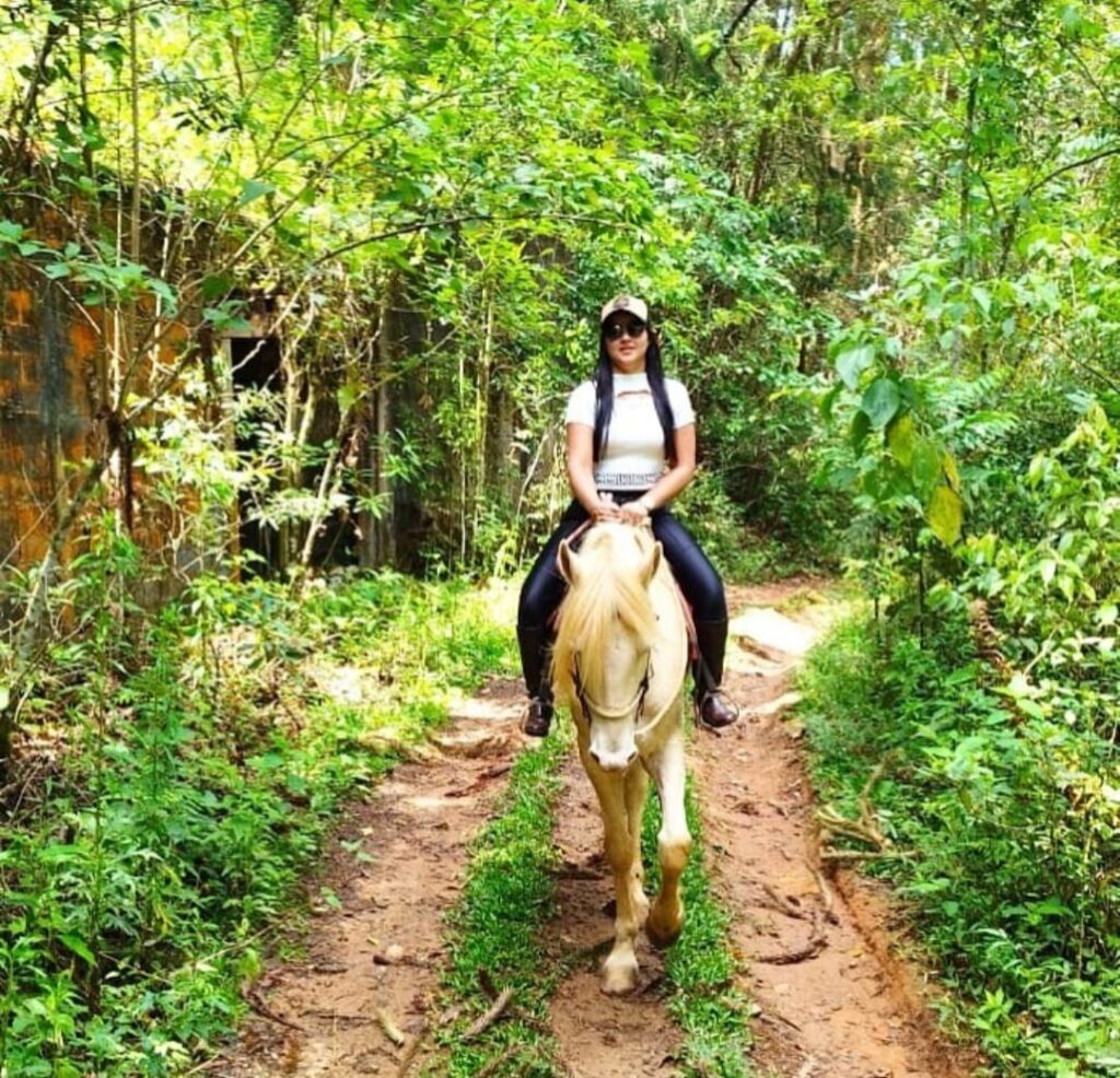 Passeio a Cavalo, Fazenda Off Road, Monte Verde, 1 Hora