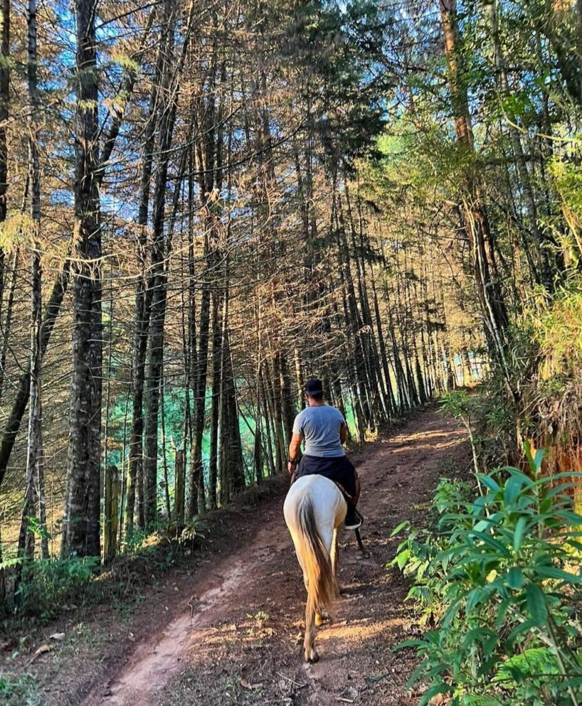 Passeio a Cavalo, Fazenda Off Road, Monte Verde, 1 Hora