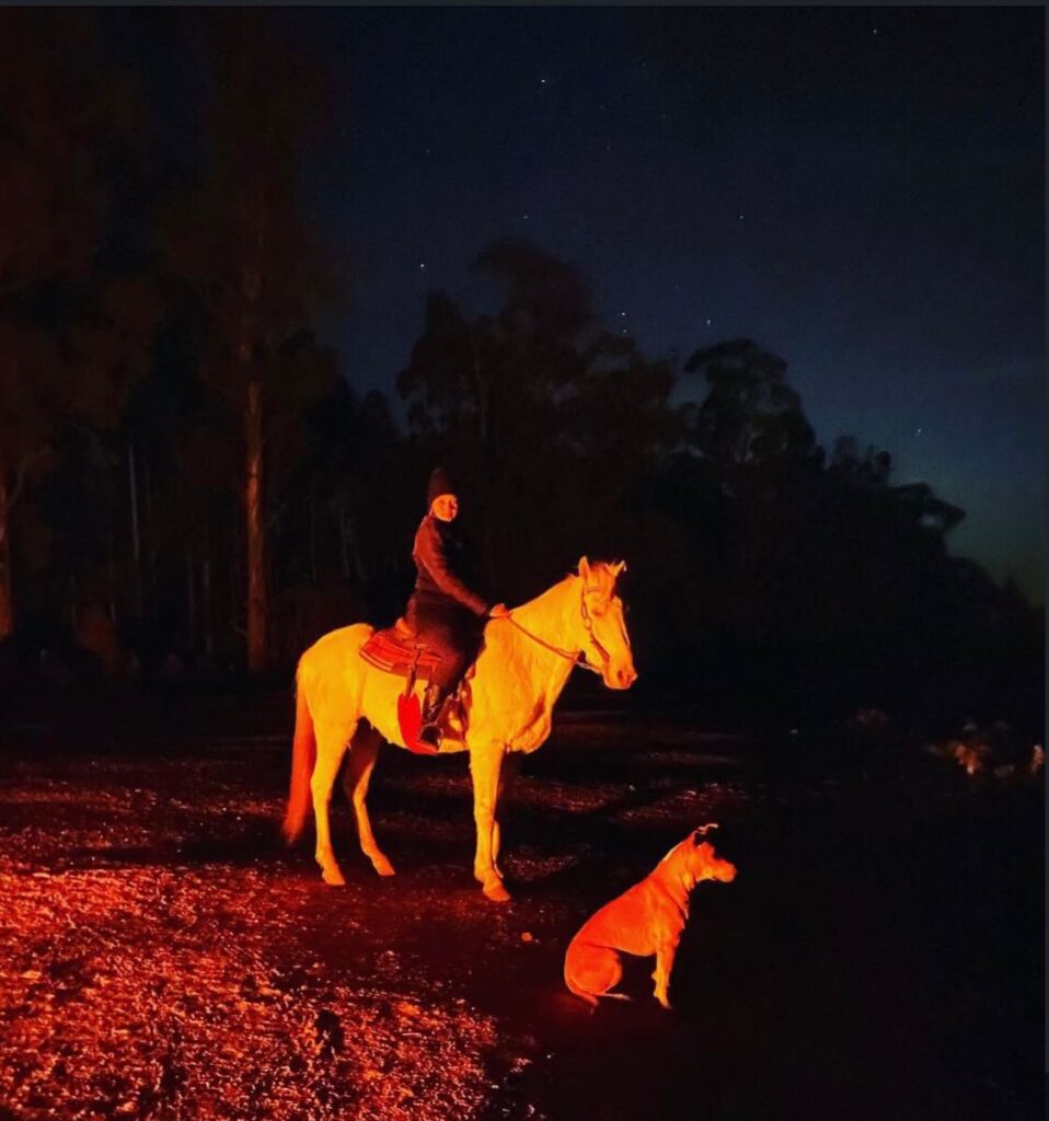 Passeio a Cavalo, Fazenda Off Road, Monte Verde, Noturno, 1 Hora e Meia