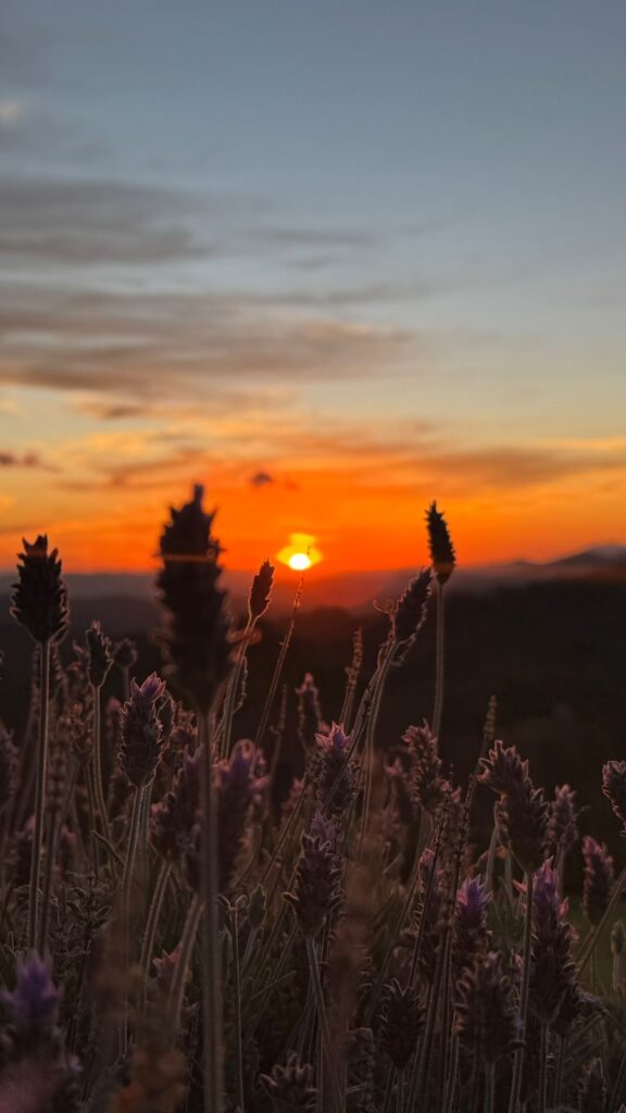 Passeio a Cavalo, Fazenda Off Road, Monte Verde, Pôr do Sol, 1 Hora e Meia